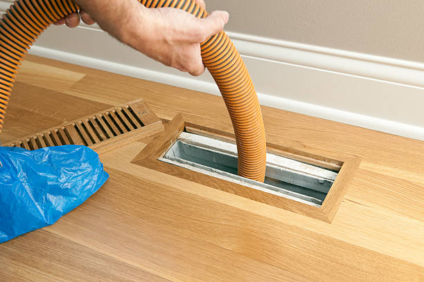 Best Local Air Duct Cleaning Services  in Selden, NY